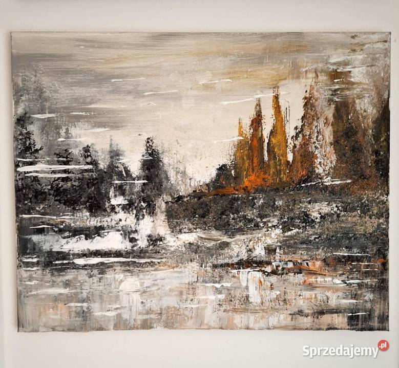 Zmroki inne obrazy Iława sprzedam