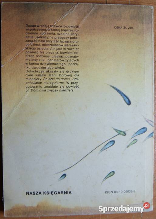 Maria Borowa Dokąd wracają latawce społeczno-obyczajowe Parczew