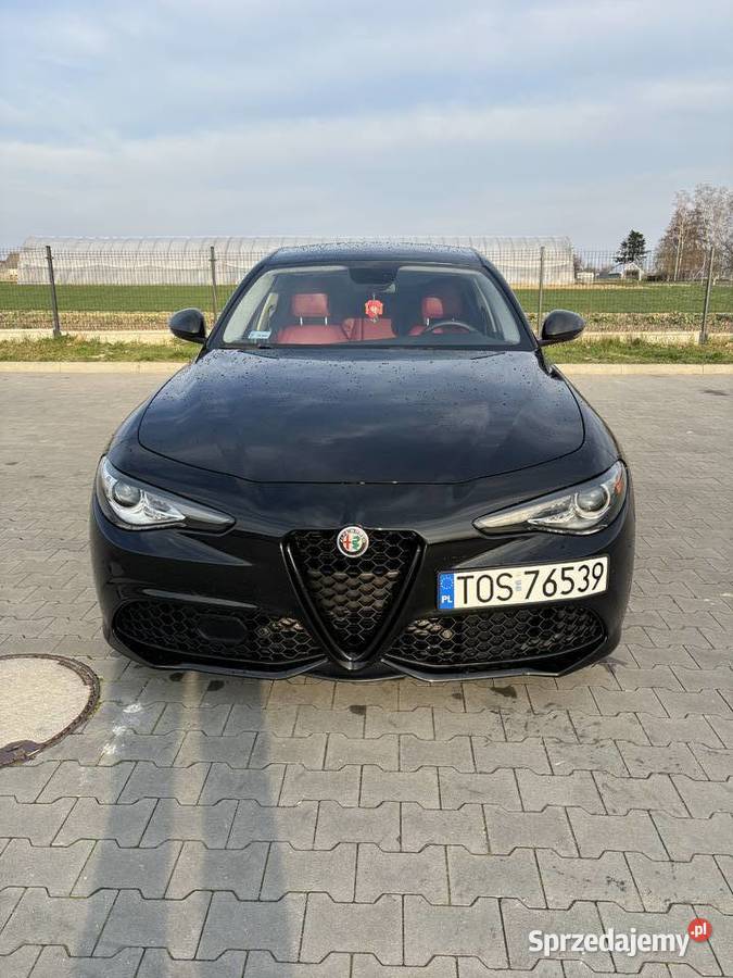 Alfa Romeo Giulia lubelskie Łukowa