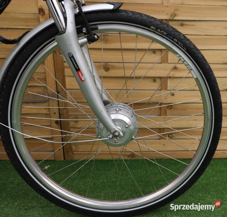 Rower elektryczny Giant Twist GO D 50 I inne