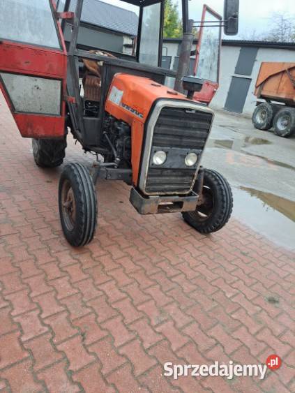 Ciągnik Ursus 3512 Zbuczyn