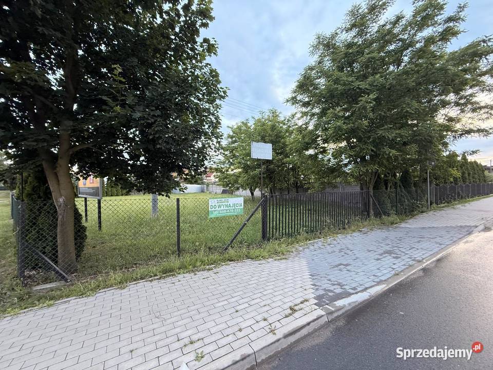 Sprzedam asfalt Grunty i działki Kościelec