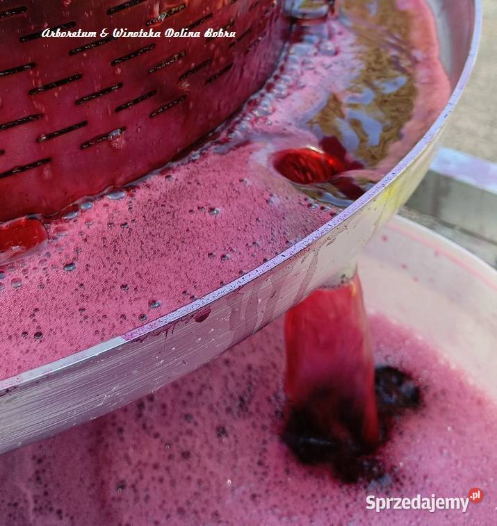 Tłoczenie pasteryzacja soków Pławna Dolna sprzedam