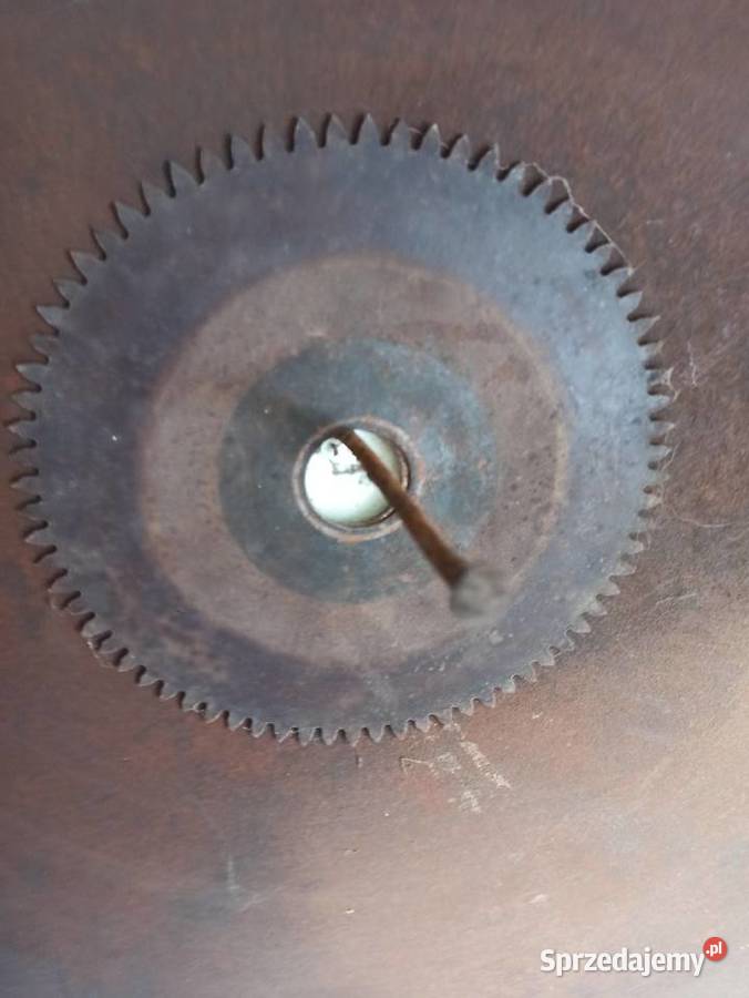 Piła do trajzegi Pilica