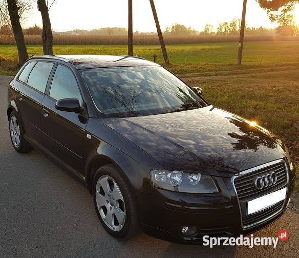 Audi A3 8P Sportback 19TDI 105 Siedlce