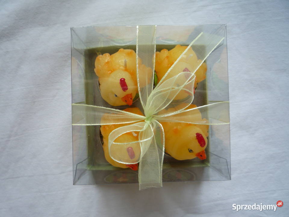 4 sztuki Świczki Kurka Kurczaki żółty Szczecin