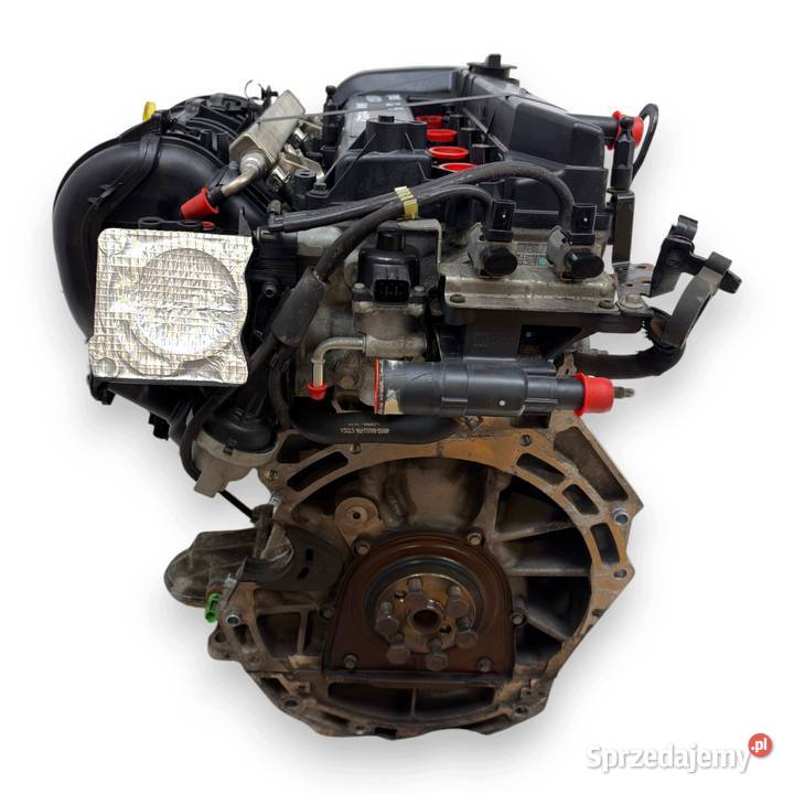 SILNIK QQDB Ford Focus II MK2 C C 18 16V 125 osobowe Silniki kompletne Chełm