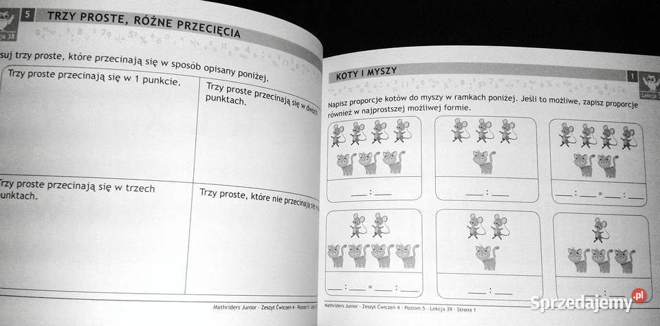 MathRider Poziom 5 Zeszyt zadań domowych 4 Anita Chełm sprzedam