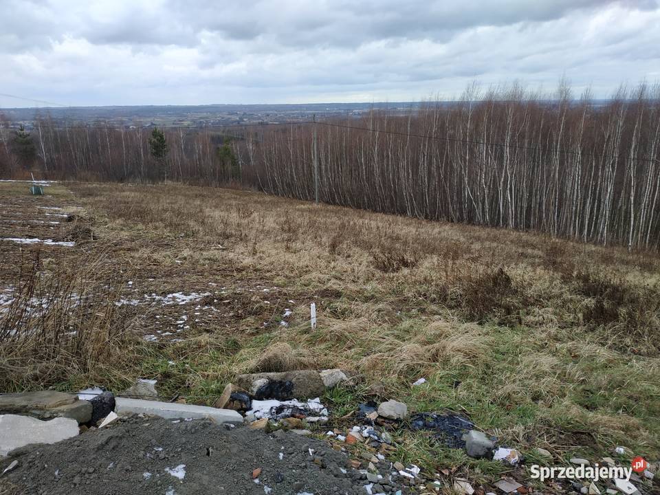 Działka budowlana koło Dębicy 50zł/m2 Dębica
