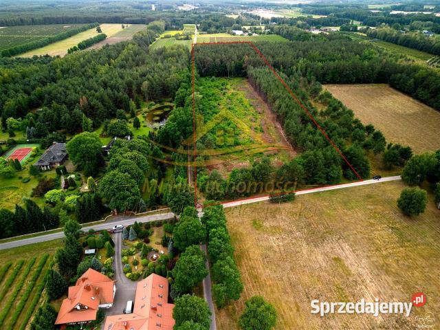 Grunt Żabia Wola 3000m2 Sprzedaż Sprzedaż sprzedam