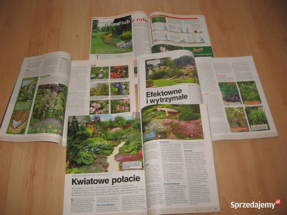 Mój Ogród poradniki Murator Kraków
