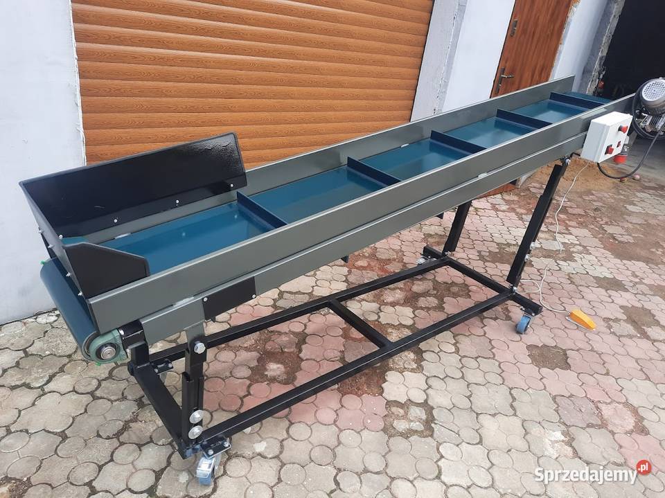 Taśmociąg przenośnik taśmowy do pakowania warzyw Łowicz