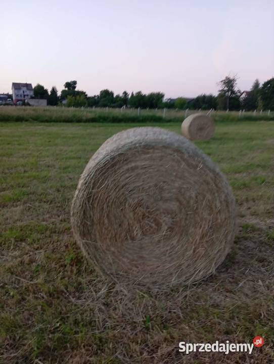 Sprzedam Siano Trawy, słoma Przasnysz