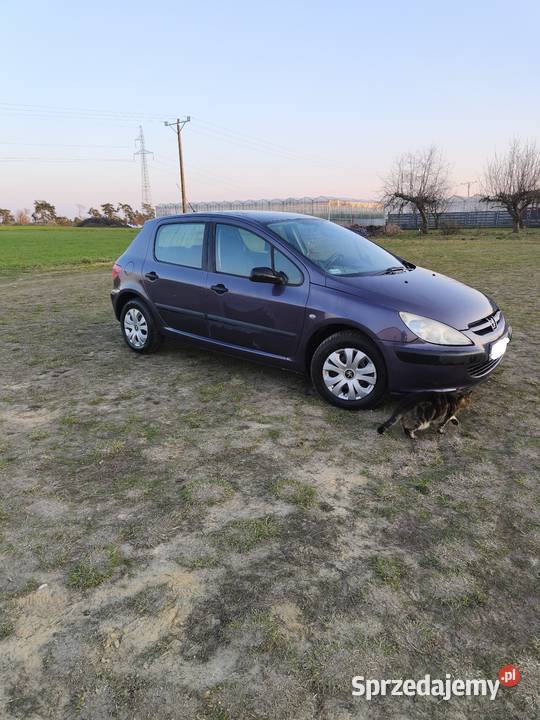 Peugeot 307 2003 16 benzyna sprowadzony Motoryzacja