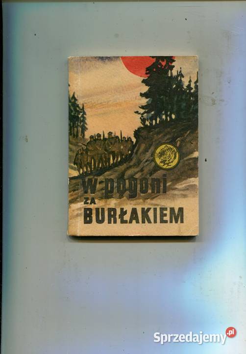 W pogoni Burłakiem Żółty Tygrys Szczecin