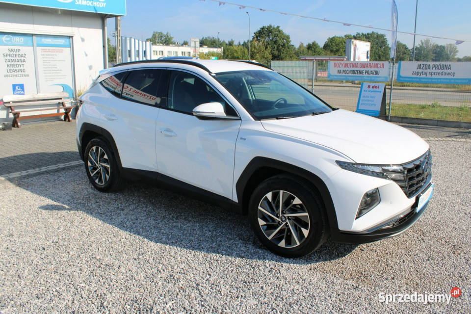 Hyundai Tucson 16 TGDi 2WD 48V 150 Executive Warszawa