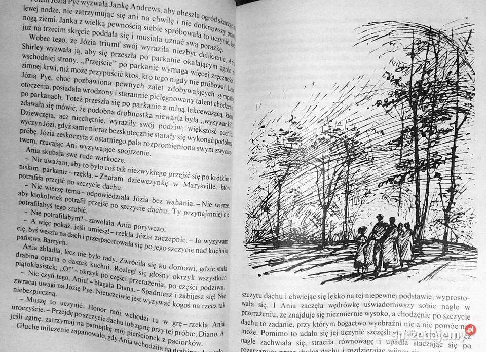 Ania z Zielonego Wzgórza Lucy Maud Montgomery Chełm