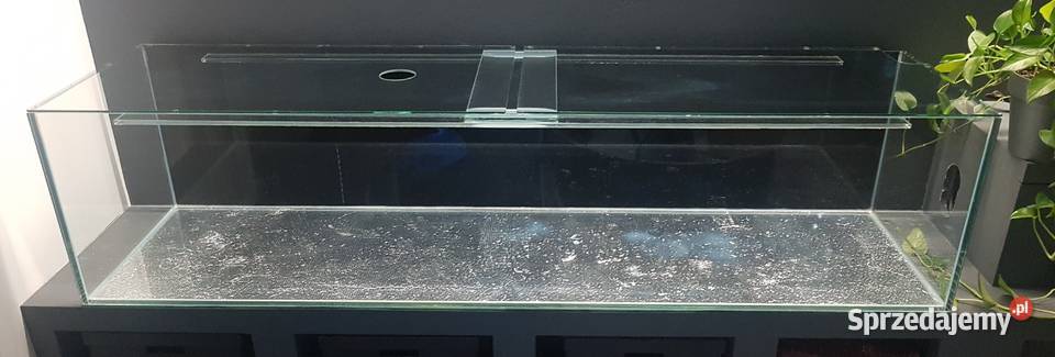 Piękne akwarium jamnik 300l 170 długości