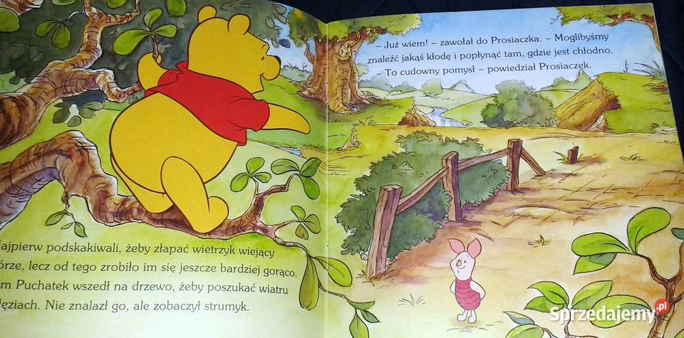 Kubuś Puchatek i przyjaciele Walt Disney Chełm