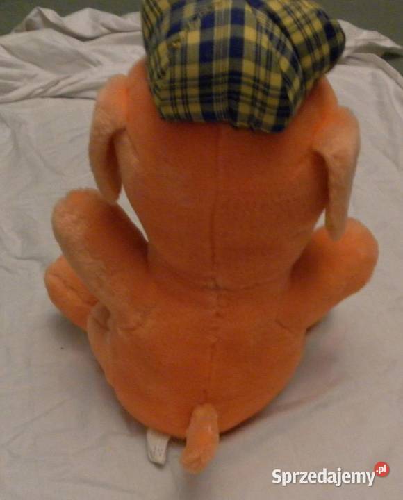 Duży Pies w Czapce mały Kret Maskotki Kraków