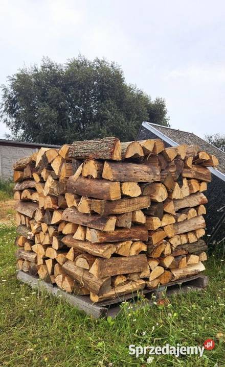 Drewno kominkowe Drzewo opalowe Dąb Fakvat Borek Wielkopolski sprzedam