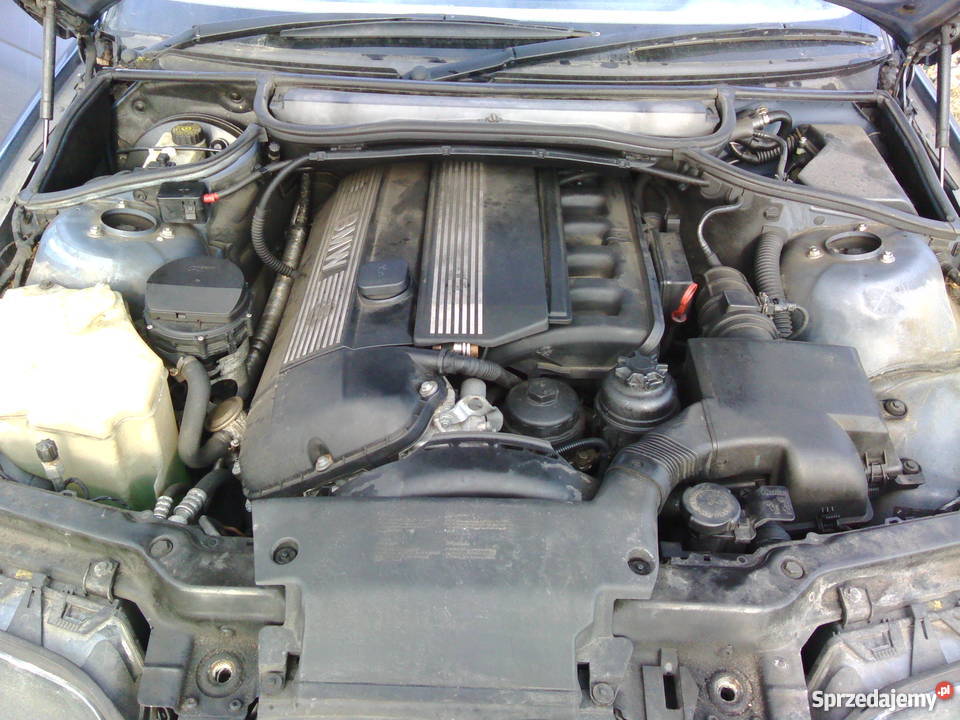 BMW e46 anglik dowod v5c cala ori BMW lubelskie Radzyń Podlaski
