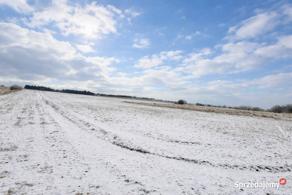 Działka pod hale magazynowo produkcyjną Smolęcin