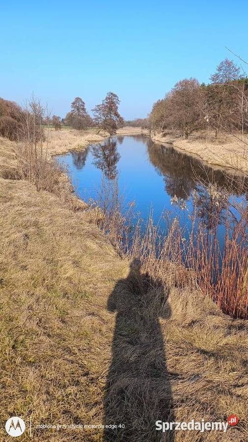 Dziewicza działka z linią brzegową rzeki Wkry 05 50000m2 mazowieckie Szyjki sprzedam