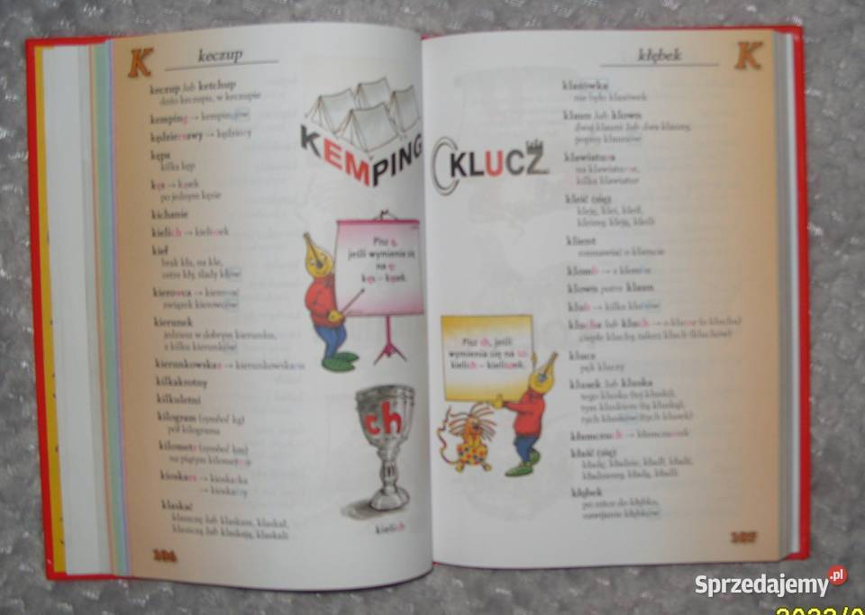 Napisz to Poprawnie Słownik ortograficzny klas Rawicz