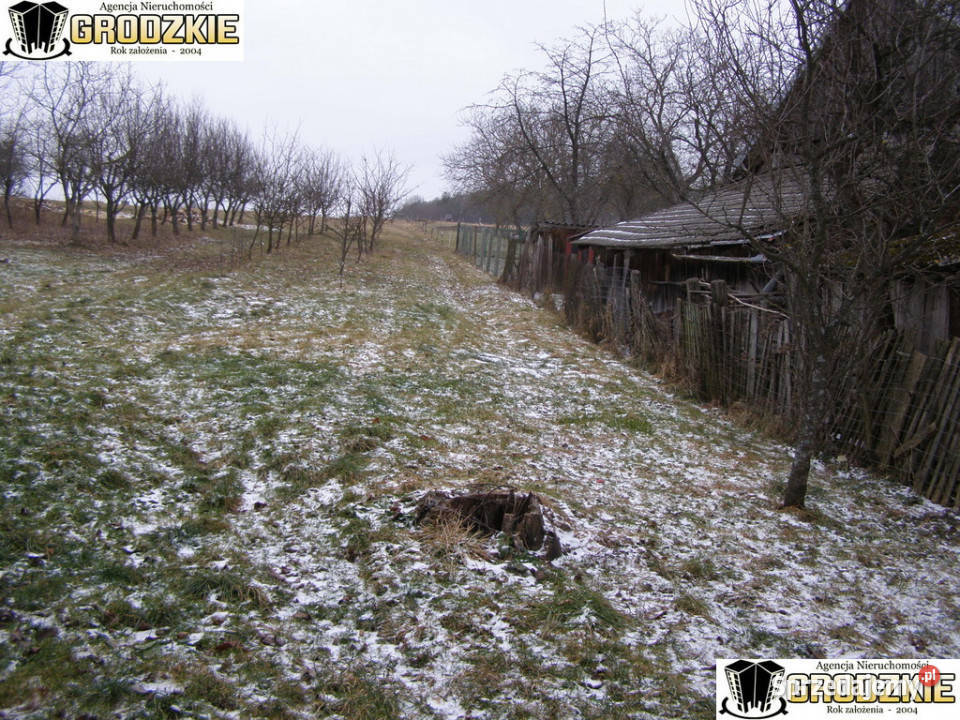 Malutkitanio wprost Gruszowa