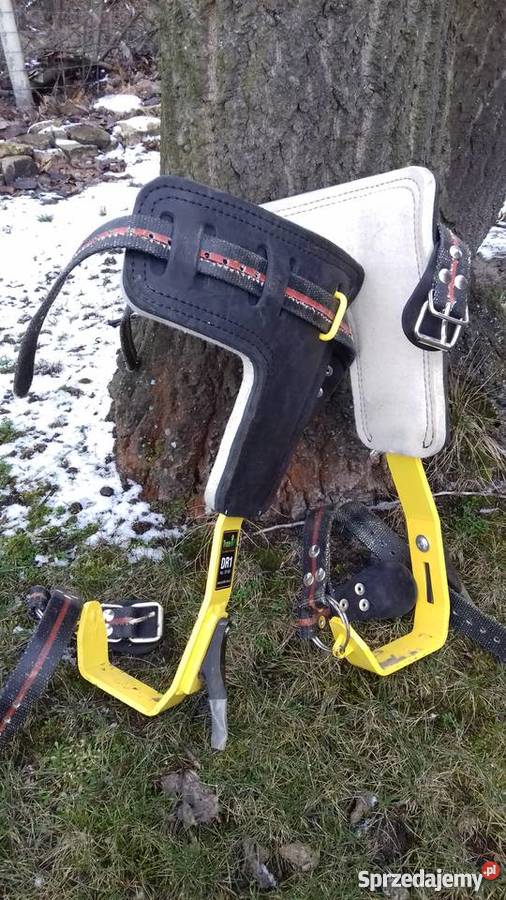 Wypożyczę drzewołazy