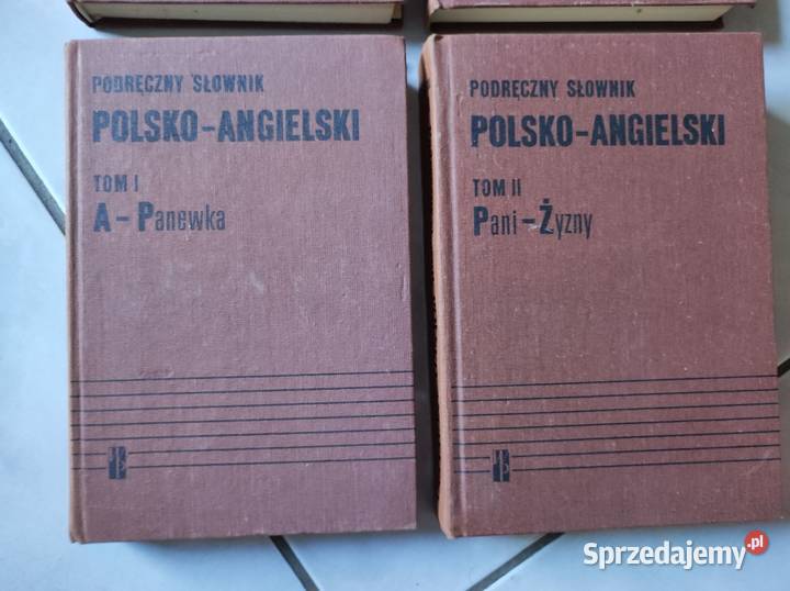 Stanisławski Szercha Podręczny słownik świętokrzyskie Kielce