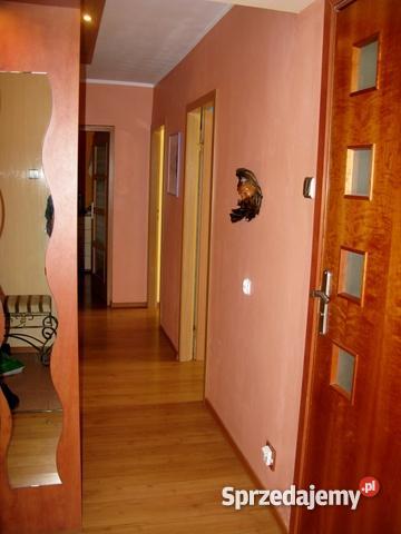 5Pokoi 4Piętro 961m2 Leśna DolinaSzarych Szeregó Piętro 4 Mieszkania Mieszkania podlaskie