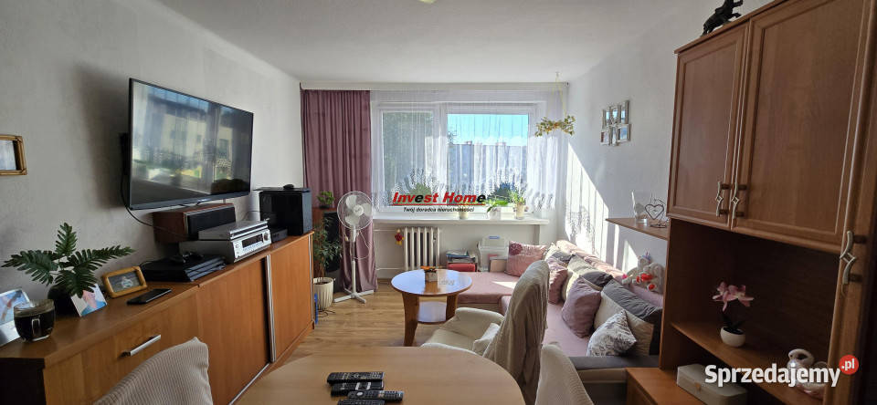 Mieszkanie 4219m2 2 pokoje Pszów Sprzedaż