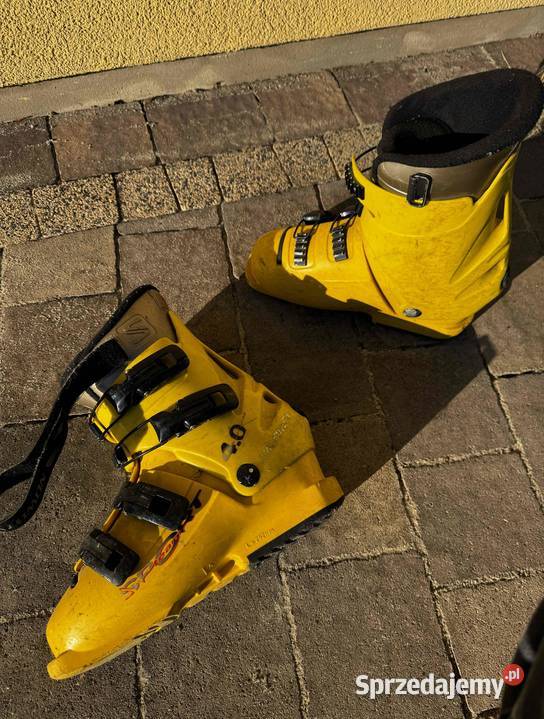 Sprzedam narty buty Kiełczygłów sprzedam