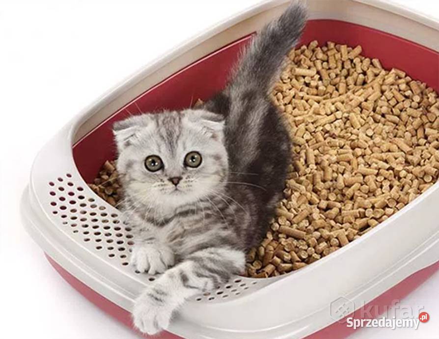 żwirek pellet kota z łuską gryki 15 Stargard