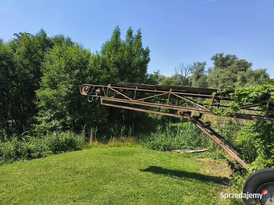 Taśmociąg 12m Agromasz Zbąszyń sprzedam