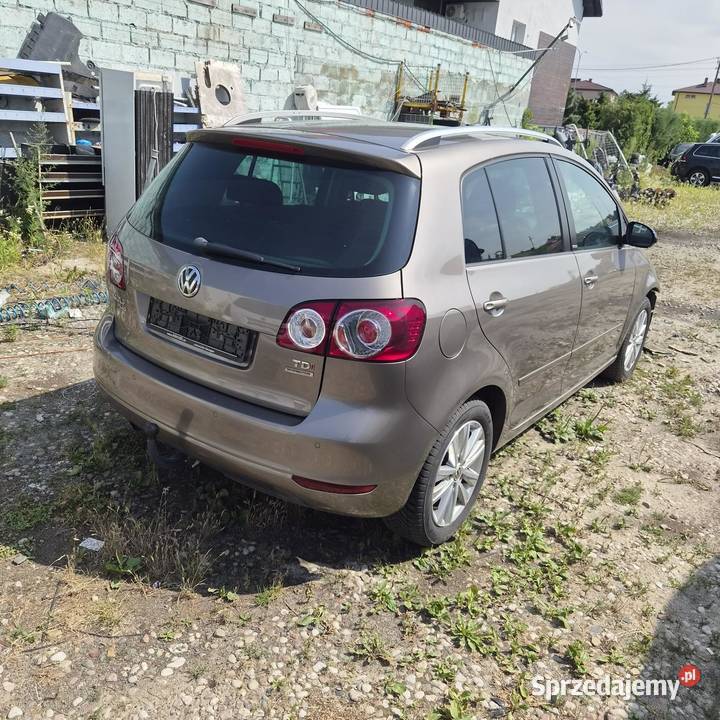 Volkswagen Golf plus 12 Chełm