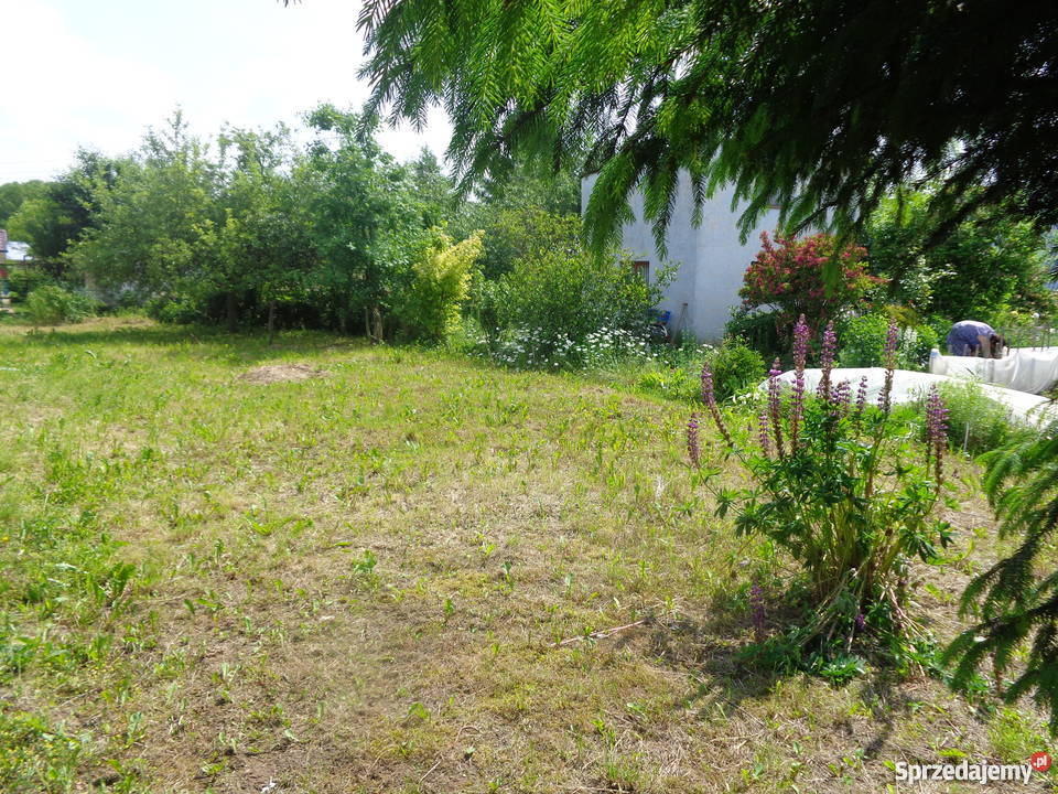Sprzedam Ogródek Działkowy 400m2 budka studnia z 7zł/m2 opolskie Nysa sprzedam