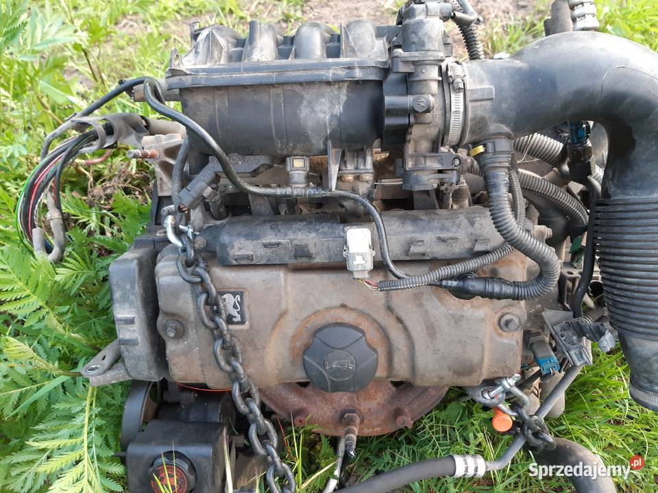 Peugeot 206 14 8V Silnik osobowe mazowieckie Mińsk Mazowiecki