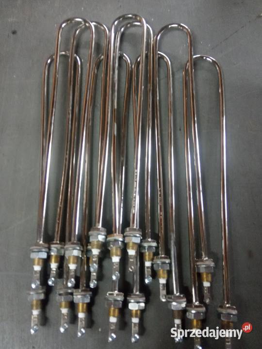 Grzałki pomorskie Gdańsk