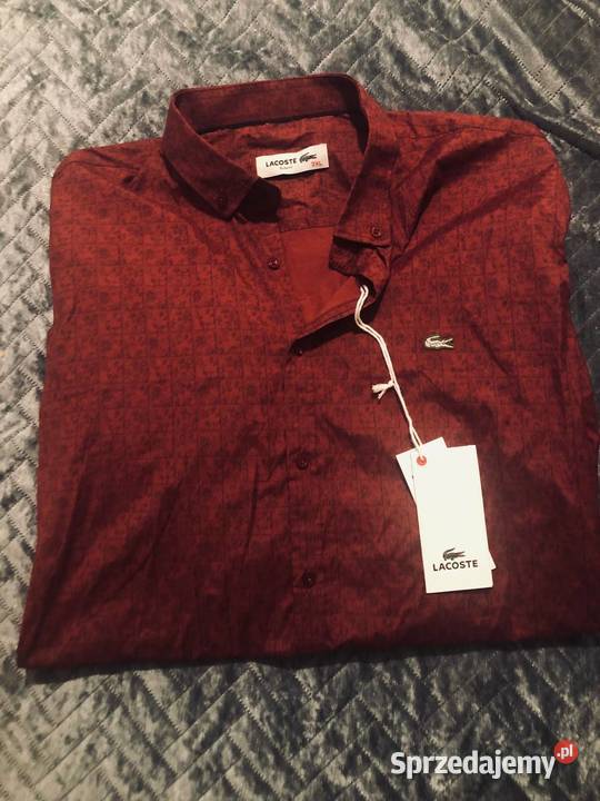 Koszula Lacoste Lacoste dolnośląskie Wrocław