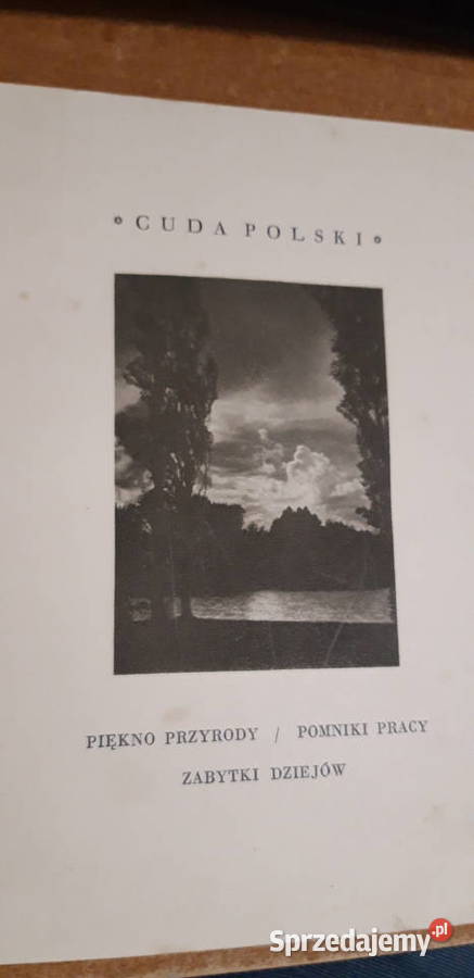 C U D A P O L S K I PIĘKNO PRZYRODY POMNIKI wielkopolskie Iwno