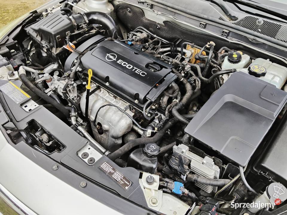 Opel Insignia 16 benyzna 2010 super stan wielkopolskie