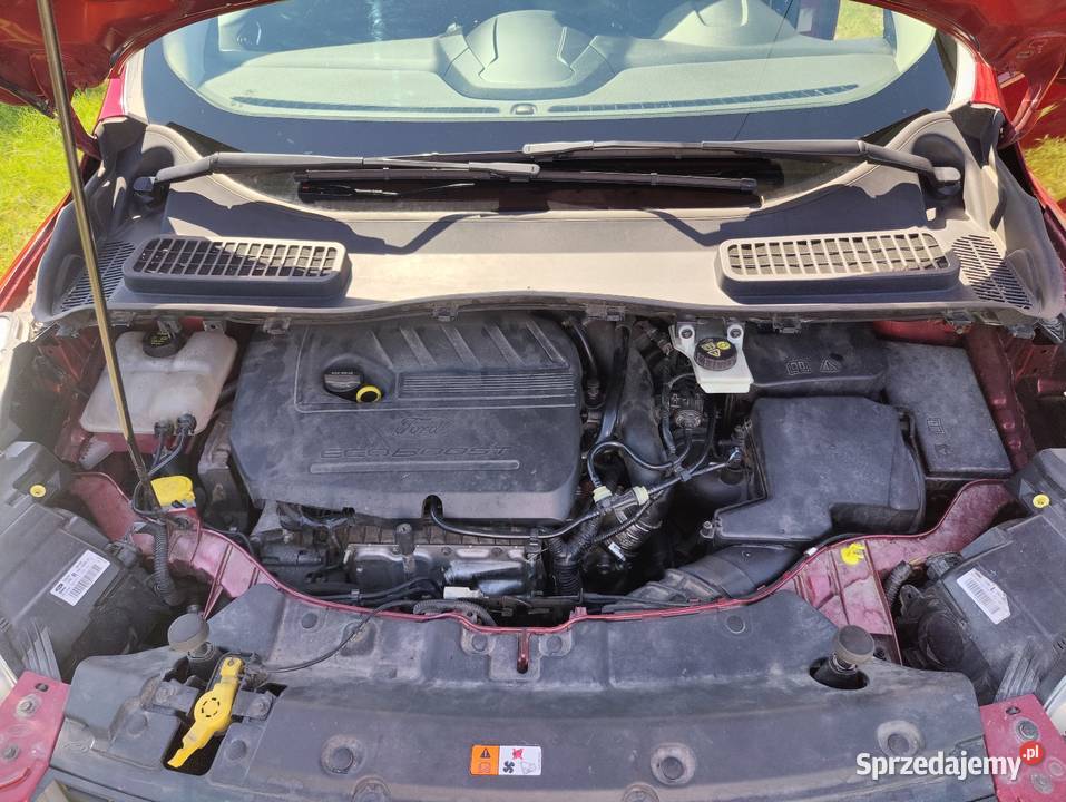 Ford Kuga lubelskie Chełm