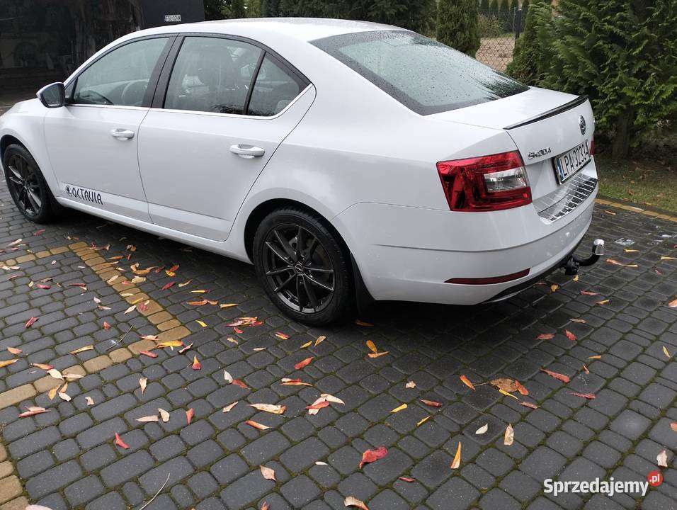 Skoda Octavia 20 TDI Ideał prywatnie Parczew