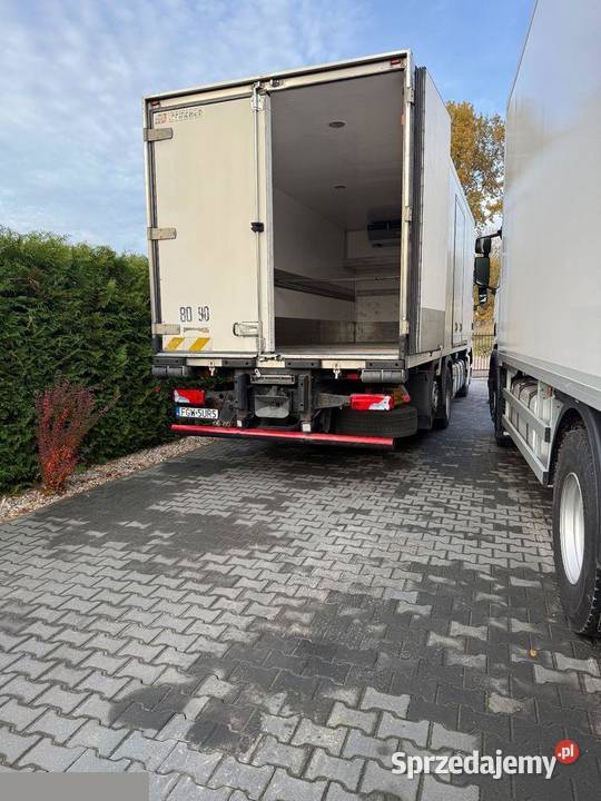 MAN TGX 26440 324 Chłodnia 2009r bezwypadkowy Janczewo