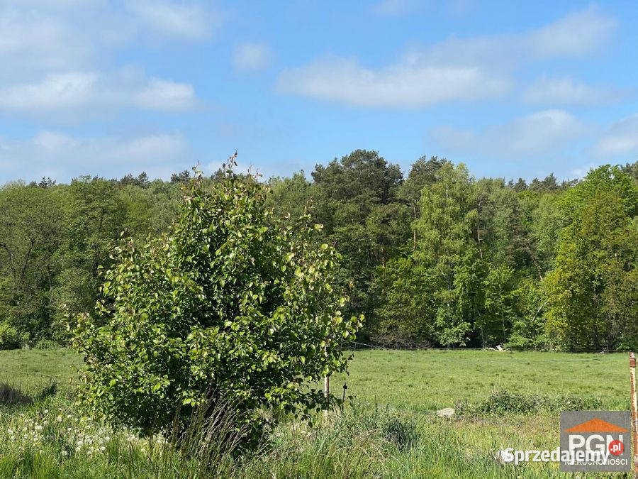 Mieszkanie 5901m2 3 pokoje Kaleń sprzedam