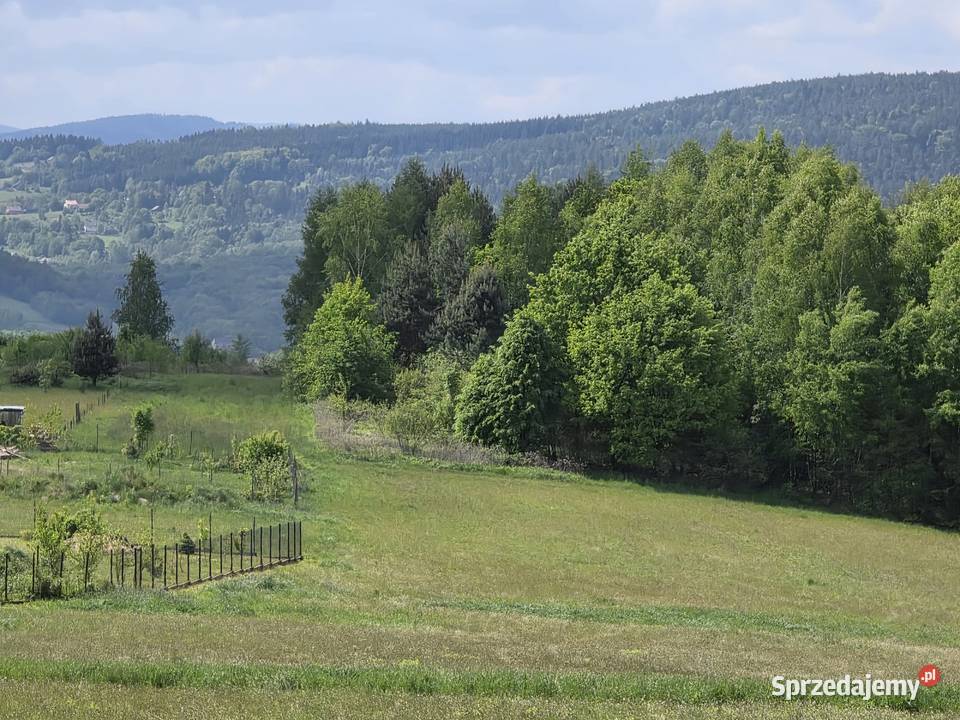 60a siedliskowa działka pod lasem małopolskie Barwałd Dolny