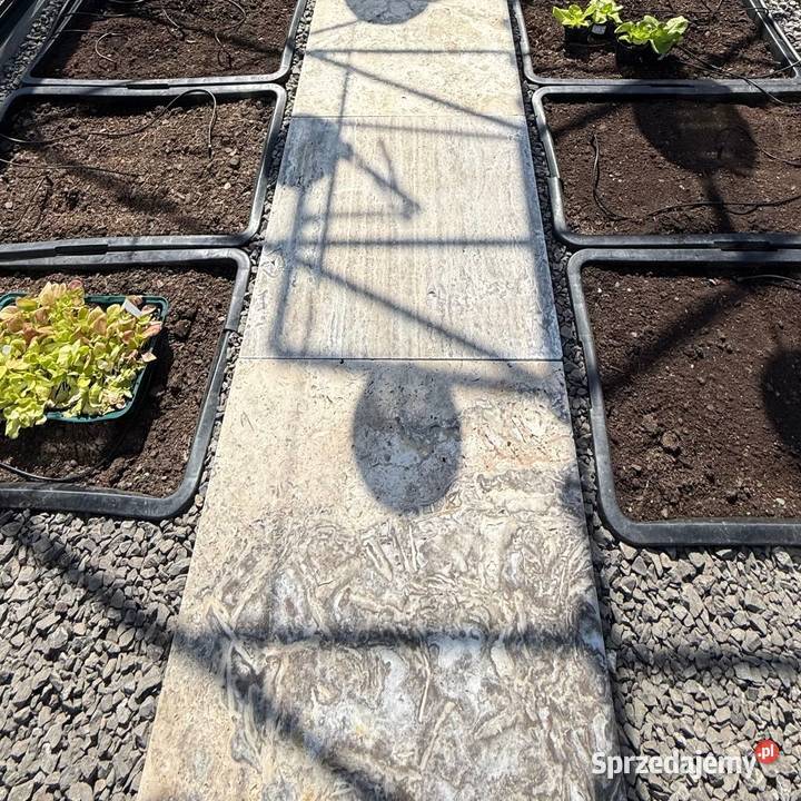 Płytki Trawertyn Silver Ash bębnowany 61x61x3 Pyrzyce